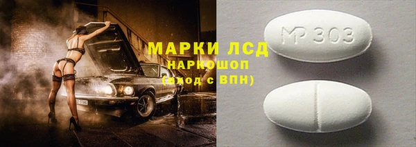 ГАЛЛЮЦИНОГЕННЫЕ ГРИБЫ Бородино