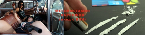 ГАЛЛЮЦИНОГЕННЫЕ ГРИБЫ Бородино