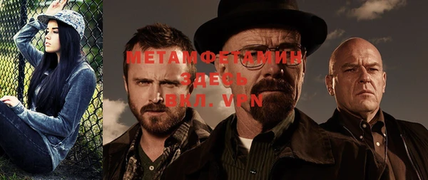 ГАЛЛЮЦИНОГЕННЫЕ ГРИБЫ Бородино