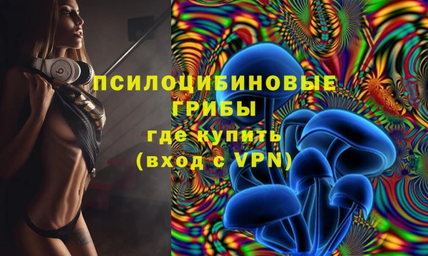 ГАЛЛЮЦИНОГЕННЫЕ ГРИБЫ Бородино