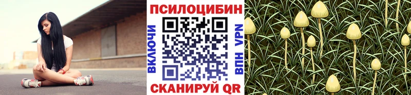 наркота  Томари  Галлюциногенные грибы GOLDEN TEACHER 