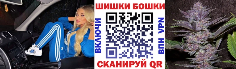 Каннабис SATIVA & INDICA  Томари 
